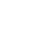 Martin Bucer